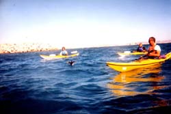 kayak3